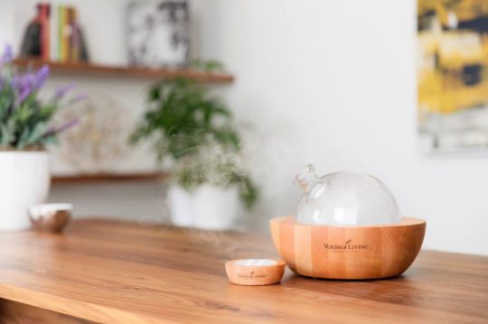 Importance of Essential Oil Diffuser in Your Home