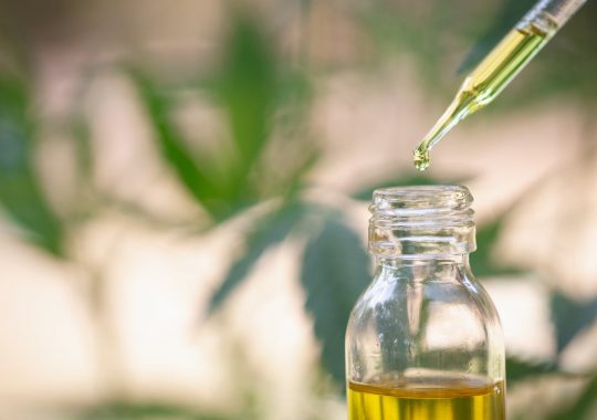 Start Using CBD Oil And See The Change